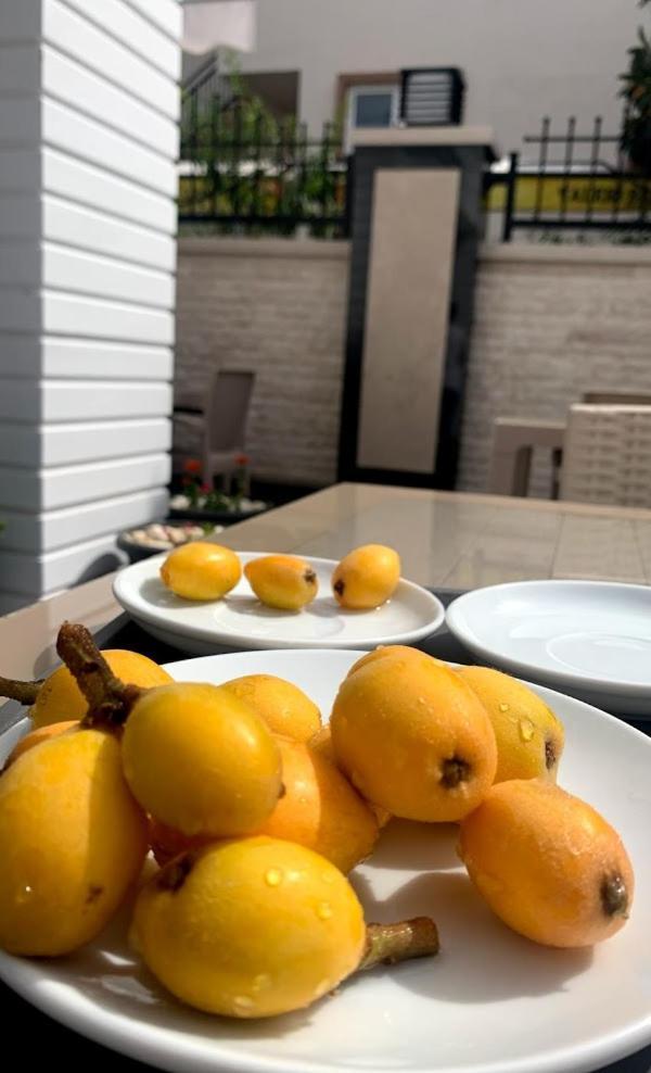 Miyas Luxury Hotel Kemer Extérieur photo